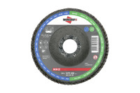 Диск пелюстковий, G80