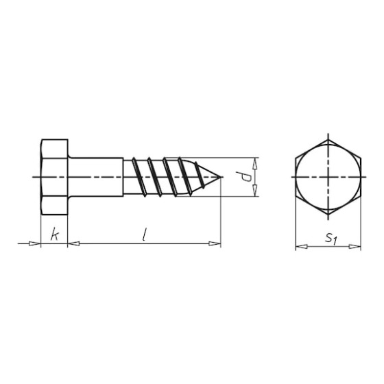 Шуруп з шестигранною головою DIN571, SW17, 10x160